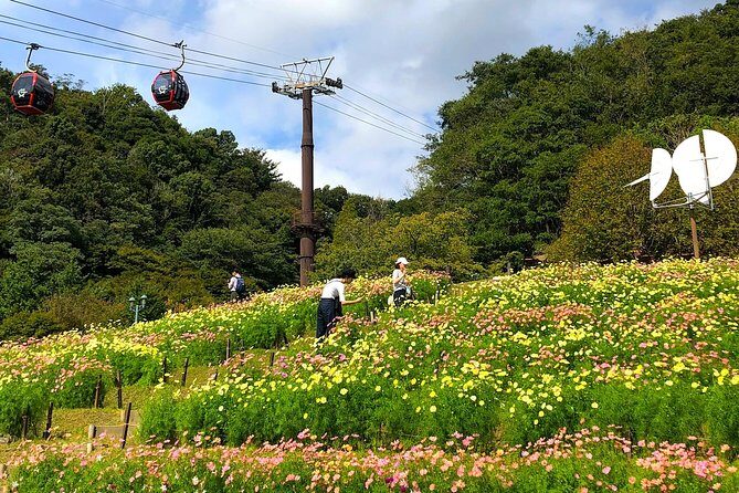 1-Day Kobe Highlights Tour including Sake Tasting - Hakutsuru Brewery Museum and sake tasting: what you’ll actually taste
