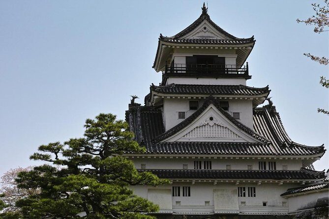 1-Day Kochi Highlights Tour with local guide - Stop 4: Chikurinji Temple and the pause in the middle