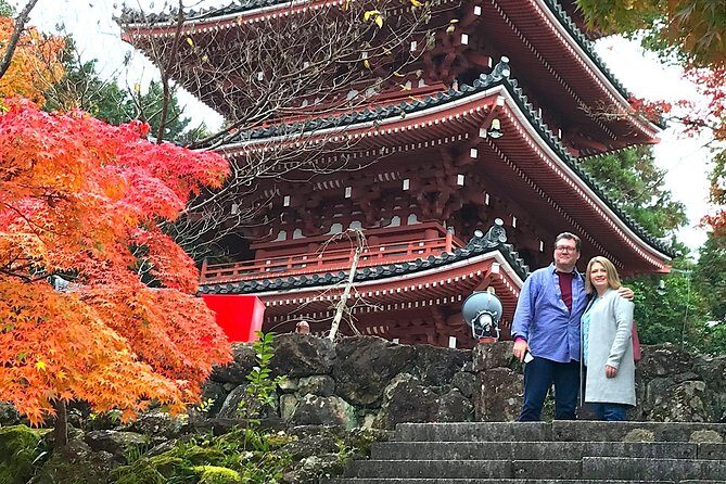 1-Day Kochi Highlights Tour with local guide - Getting around on local transport like you belong
