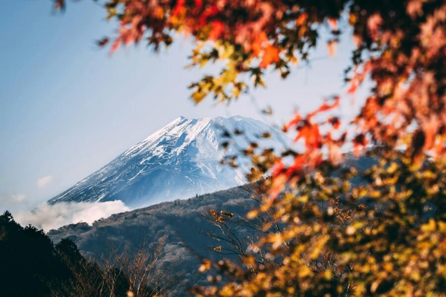 1-Day Mt Fuji and Hakone Sightseeing trip from Tokyo - Lake Kawaguchi: Boat Cruise Time and Lunch With Fuji Chances