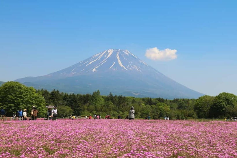 1-Day Mt Fuji and Hakone Sightseeing trip from Tokyo - Hakone Shrine: Closing the Day With Culture After the Heat and Steam