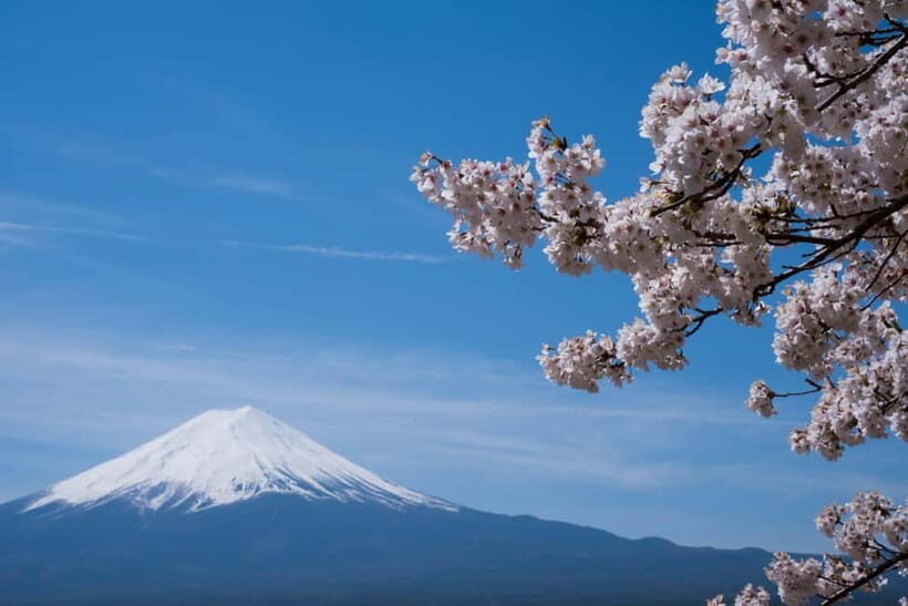 1-Day Mt Fuji and Hakone Sightseeing trip from Tokyo - Weather Reality: Plan for Clouds, Rain, and a Different Kind of Day