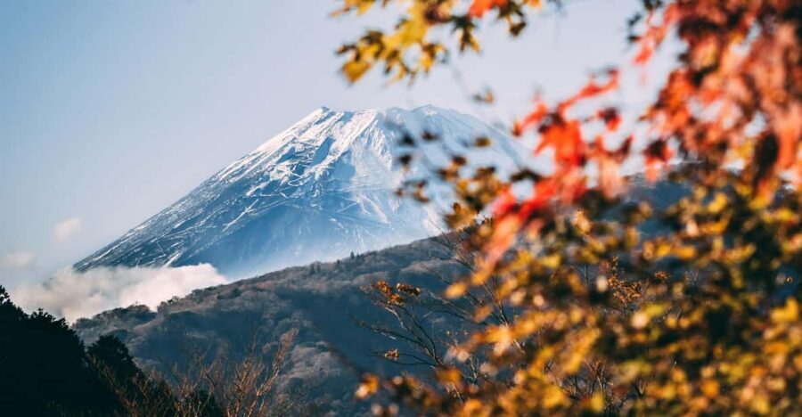 1-Day Mt Fuji and Hakone Sightseeing trip from Tokyo - Chureito Pagoda Photo Stop: The One-Hour Walk That Helps You Catch the Iconic View