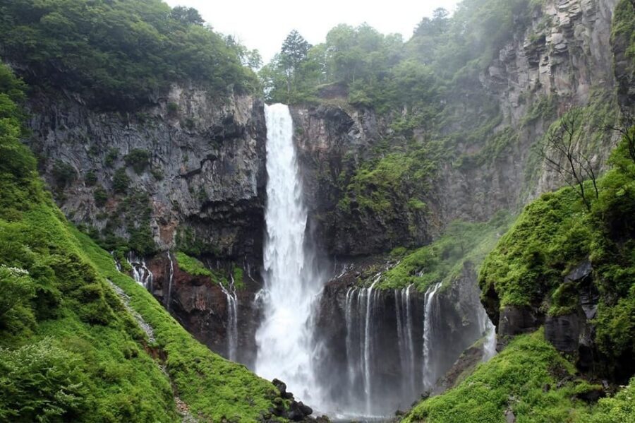 1 Day Nikko Wonders Tour from Tokyo - Nikko in One Day: What You’ll See and What It Costs You