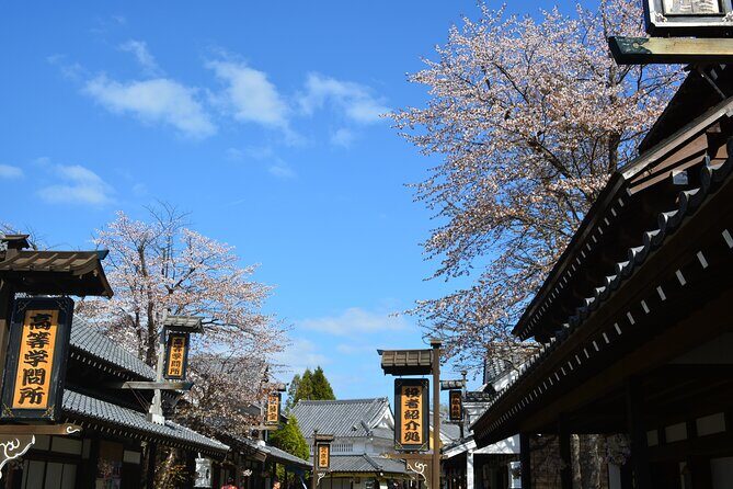 1-Day Pass for Noboribetsu Date Jidaimura - Performances to Catch: Ninja Acts, Courtesan Themes, and Live Theatre