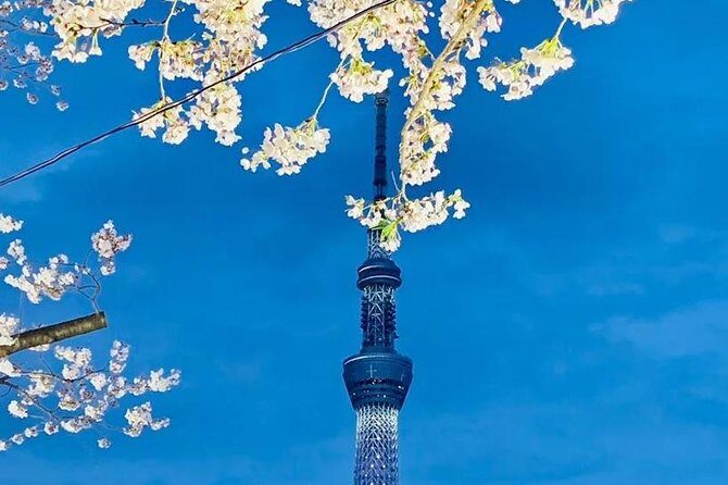 1 Day Private Charter Tokyo Tour (Green Number Plates) - Asakusa: Senso-ji and Nakamise Street snack street therapy