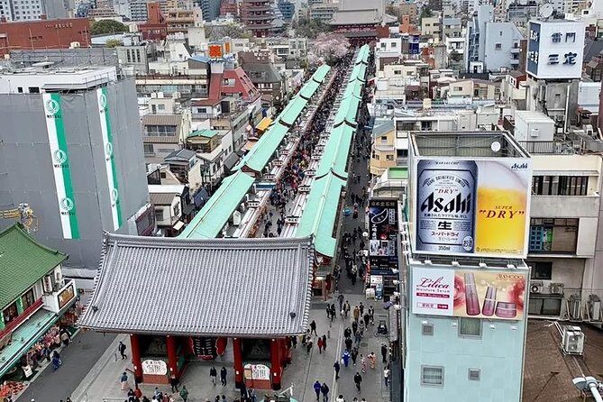 1 Day Private Charter Tokyo Tour (Green Number Plates) - Meiji Jingu: where Tokyo slows down for a reset