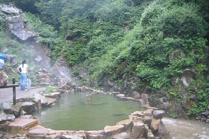 1-Day Private Snow Monkey ZenkoJi Temple & SakeTasting NaganoTour - Private Transportation and the Role of Your English Guide