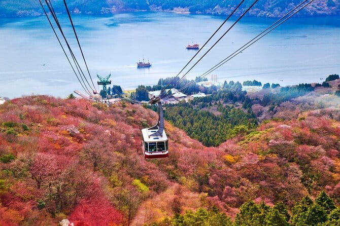 1 Day Private Tour to Hakone-Gotemba With English Speaking Driver - Gotemba Premium Outlets: the shopping stop with a view