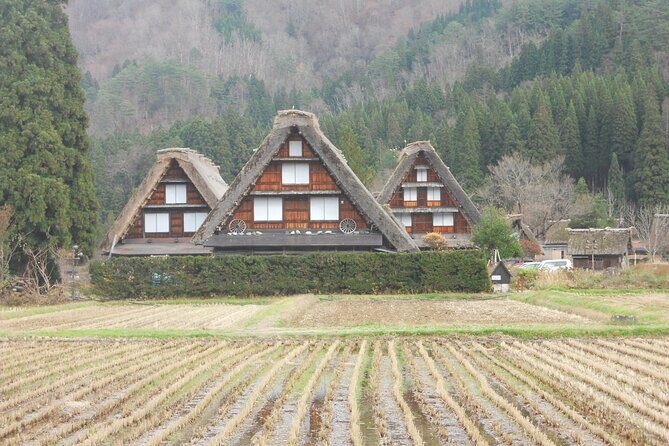 1-Day Shirakawago & Takayama Tour (Round Trip from Kanazawa) - Key things to know before you go