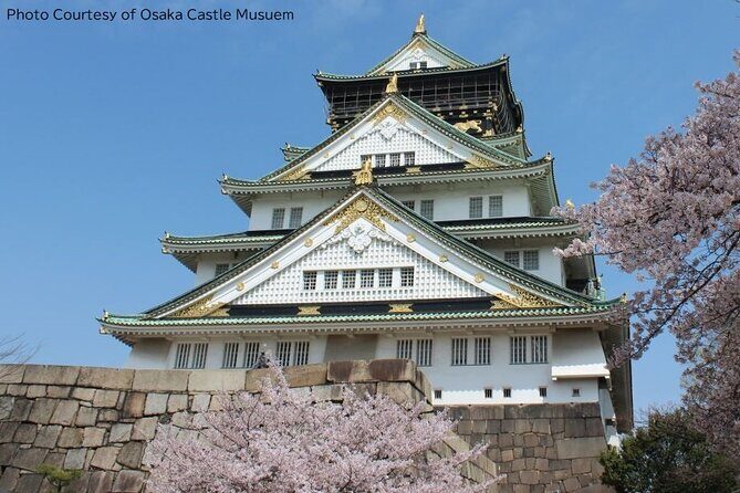 1 Day Takoyaki Making and Osaka Castle Walking Tour - Key moments at a glance