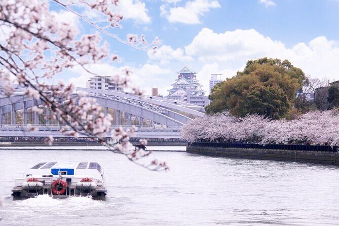 1 Day Takoyaki Making and Osaka Castle Walking Tour - Start in Namba: a day designed for flow, not fuss