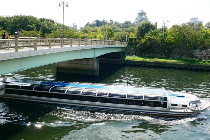 1 Day Takoyaki Making and Osaka Castle Walking Tour - Takoyaki-making lunch: the hands-on part you’ll remember
