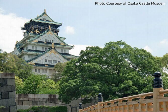 1 Day Takoyaki Making and Osaka Castle Walking Tour - Osaka Castle: history outside, then big views from the tower
