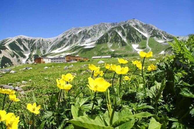1-Day Tateyama-Kurobe Tour: Walking on the 'Roof of Japan' - Key things I’d plan around