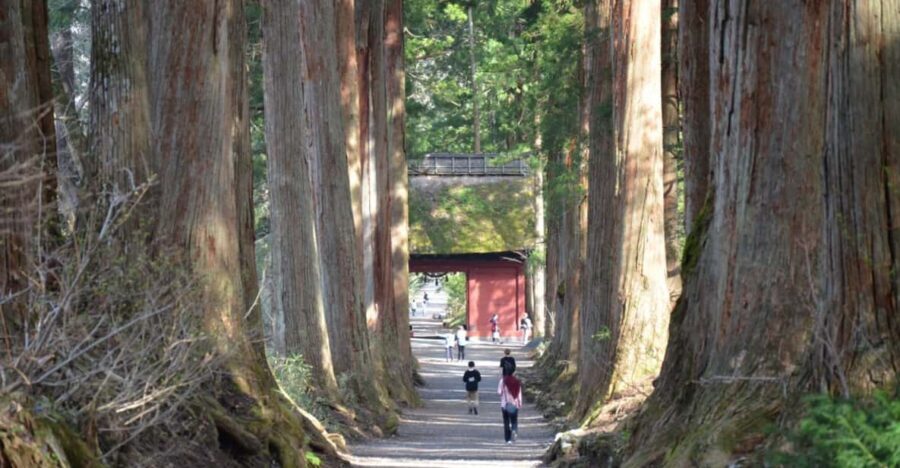 1-Day Togakushi: Soba making, Ninja Town and Hidden Shrines - Key Things I’d Plan Around