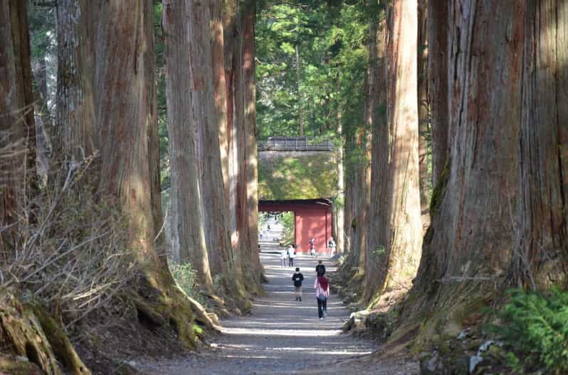 1-Day Togakushi: Soba making, Ninja Town and Hidden Shrines - From Nagano Station to Togakushi’s Mountain Air