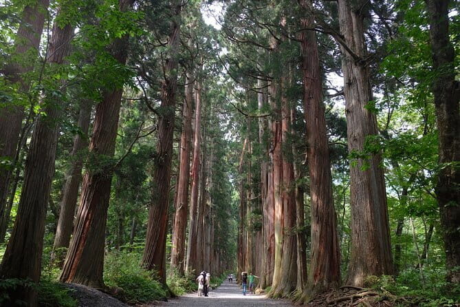 1-Day Togakushi Tour: Soba making, Ninja Town, and Hidden Shrines - Key things I’d plan around
