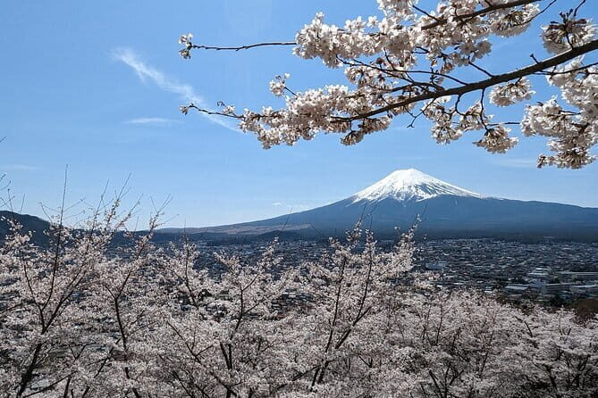 1 Day Tour Explore Nikko’s World Heritage and National Park - Toshogu Shrine and Museum: The Main Event
