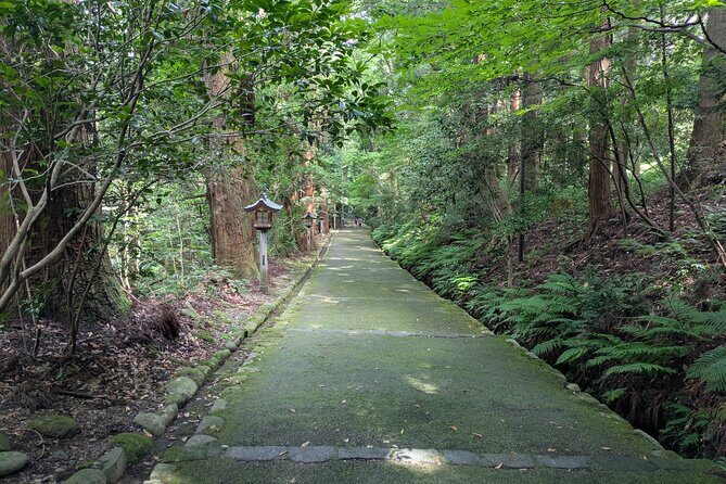 1 Day Tour from Kanazawa Tedori Gorge White Road and Shirakawa Go - Tedori Gorge: Those View Stops and the 120 Steps