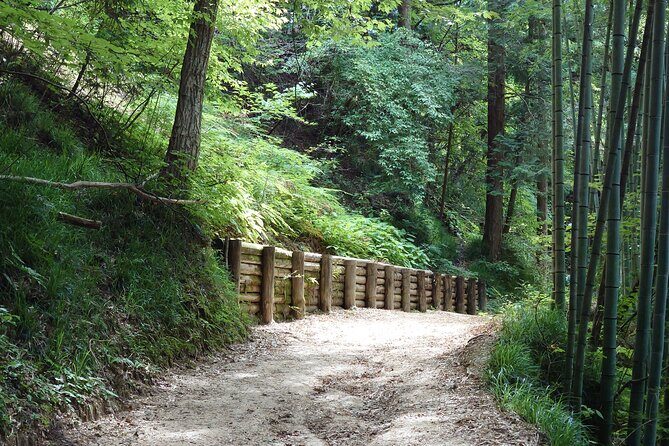 1-Day Tour from Matsumoto: Walk the Nakasendo Trail - What to Bring for a Comfortable Nakasendo Day