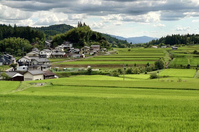 1-Day Tour from Matsumoto: Walk the Nakasendo Trail - Who This Tour Suits Best (and Who Might Want a Different Plan)