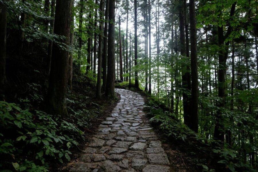 1-Day Tour from Nagoya: Hiking the Historic Nakasendo Trail - The 8 km Nakasendo Hike: What the Trail Feels Like in Real Life