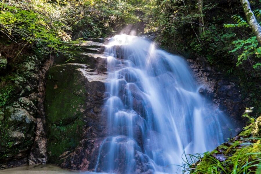 1-Day Tour from Nagoya: Hiking the Historic Nakasendo Trail - Transportation and Time on the Bus: Why That 8-Hour Total Works