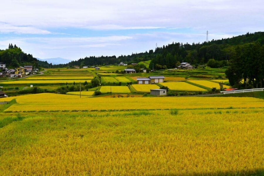 1-Day Tour from Nagoya: Hiking the Historic Nakasendo Trail - Tsumago-juku: Preserved Post Towns You Can Actually Wander Inside