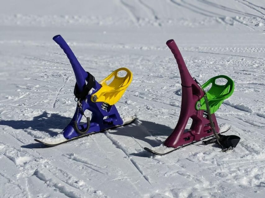 1 Day Tour: Snow Monkeys & Snow Fun in Shiga Kogen - Who this tour suits best