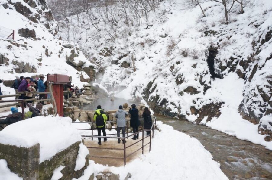 1 Day Tour: Snow Monkeys & Snow Fun in Shiga Kogen - Jigokudani Snow Monkey Park walk: the part that tests your shoes