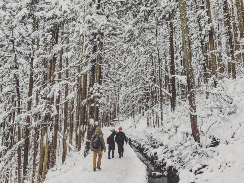 1 Day Tour: Snow Monkeys & Snow Fun in Shiga Kogen - The monkeys: why the hot-spring detail matters