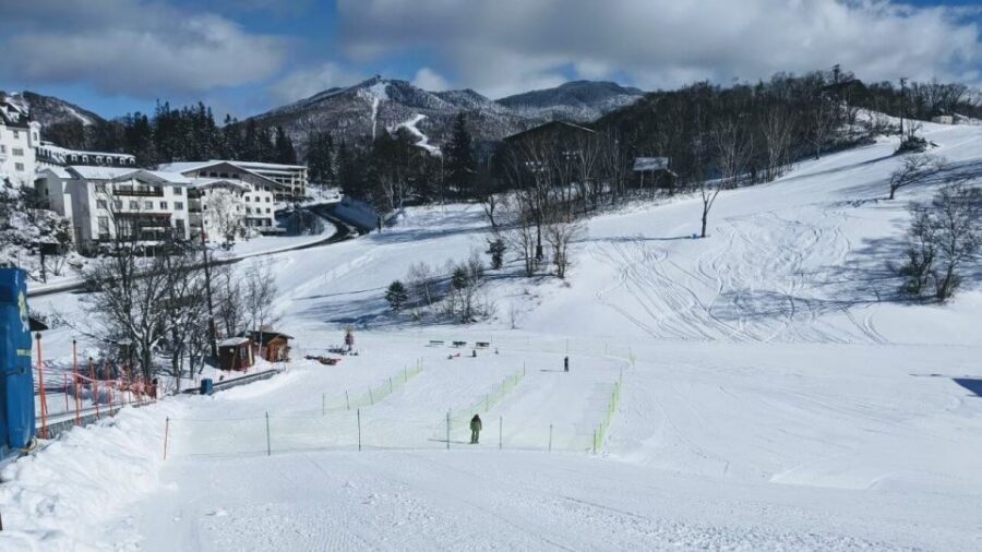 1 Day Tour: Snow Monkeys & Snow Fun in Shiga Kogen - Souvenirs and apple pie: your small reward window