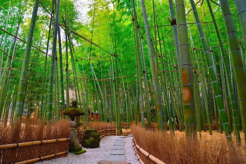 1-Day trip: Kamakura City (Enoshima/Shonan/Beach) - Tsurugaoka Hachimangu and Komachi-dori for old-town atmosphere