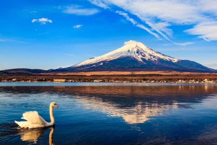1-Day trip: Mt Fuji + Kawaguchi Lake area - Oishi Park and the Kawaguchi lakeside: seasonal color time