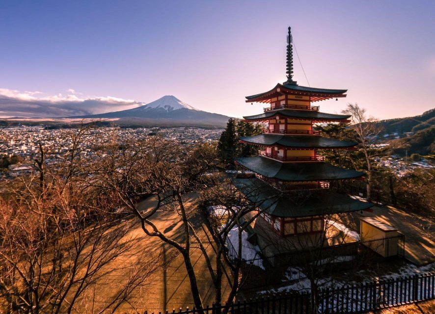 1-Day trip: Mt Fuji + Kawaguchi Lake area - Transportation, timing, and what the $539 price really covers