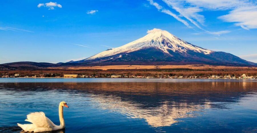 1-Day trip: Mt Fuji + Kawaguchi Lake area - Planning your route: how the customization really works