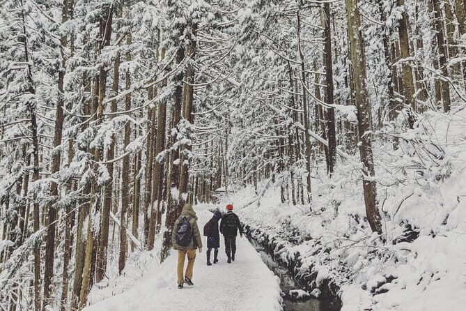 1-Day Winter Tour From Nozawa Onsen: Snow Monkeys, Zenko-ji Temple & Sake - Jigokudani Snow Monkey Park: watching wild monkeys in cold weather