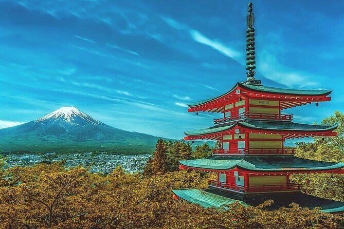 10-Day Private Tour with more than 60 Attractions in Japan - Key things I’d clock before you go