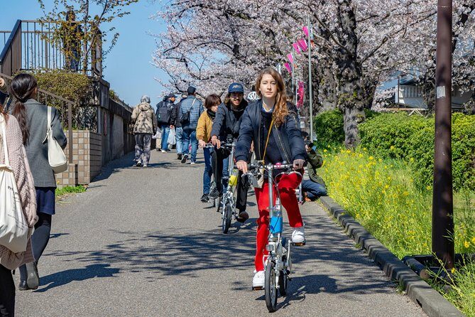 2.5 Hour-Guided Cycle Tour in the Central Tokyo - Safety first: helmets, folding bikes, and a ride that fits most people