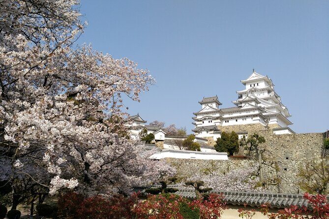 2.5 Hour Private History and Culture Tour in Himeji Castle - Price and Total Cost: When This Tour Is Actually Good Value