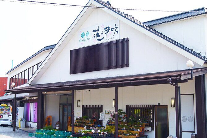 2-Day Bus Tour to Shirakawago & Hida No Sato Winter Illumination - Hida no Sato light-up festival: short time, big atmosphere