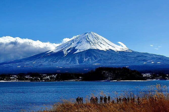 2 Days Tokyo ,Mount Fuji / Hakone Private Tour from Tokyo - Day 2: Fuji Viewpoints in Chureito Pagoda and Hakone