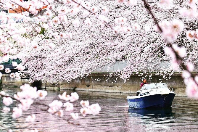 2 Hours Private Cruising Boat Tour;Tokyo Bay & River - Tokyo Skytree from the bay: a clean line of sight