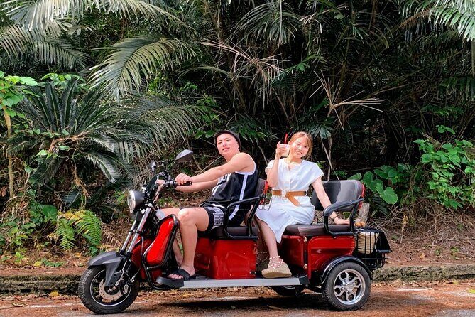 2h 3-seater electric trike rental (Ishigaki, Okinawa) - Who this trike rental is best for (and who should skip it)
