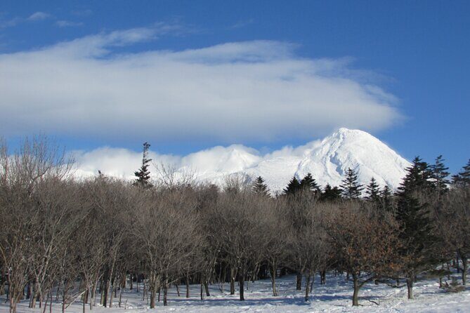 3.5hours Primeval Forest Snowshoe hike and Wildlife Watching Tour - Snowshoes, footprints, and how animal trails change your pace