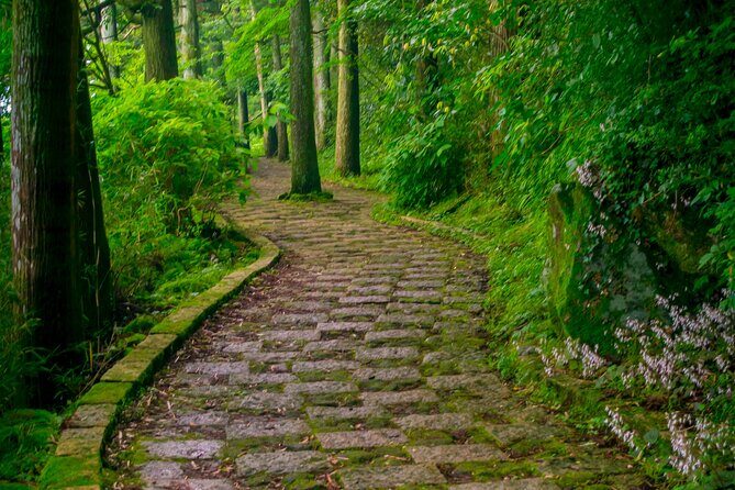 3 Day Japan Highlights Tour: Tokyo, Mt.Fuji, Nara, Kyoto, Osaka - Who this tour is best for