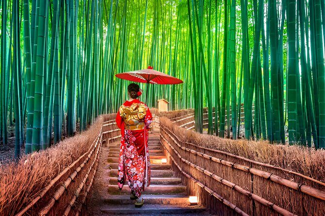 3 Days Private Osaka Kyoto and Nara Tour With English Driver - Key highlights you’ll feel right away
