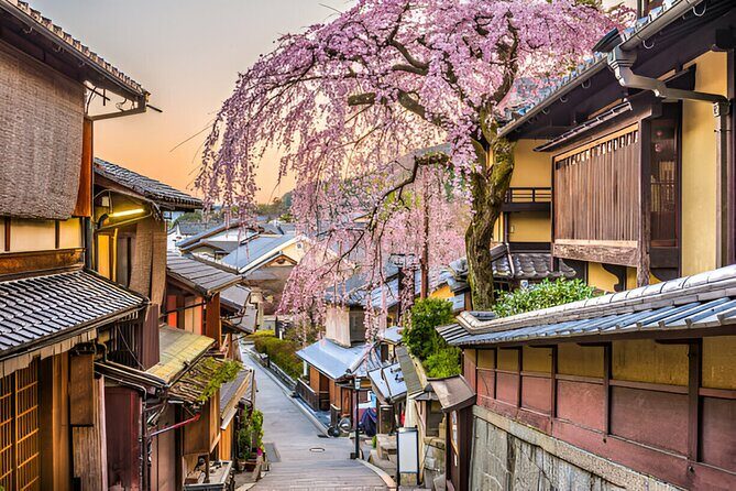 3 Days Private Osaka Kyoto and Nara Tour With English Driver - Who should book this private tour