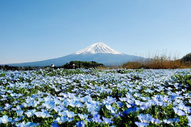 3 Days Tokyo, Mt. Fuji and Hakone Private Tour from Tokyo - Key points worth knowing before you go